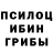 Псилоцибиновые грибы мухоморы Hede Sabah