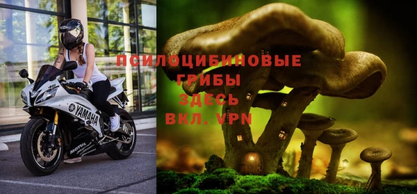 крисы Михайлов