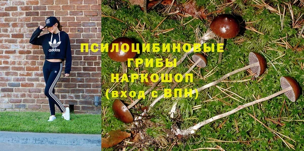 PSILOCYBIN Михайловск