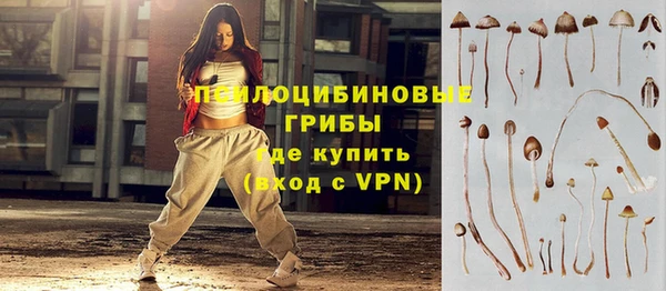 PSILOCYBIN Михайловск