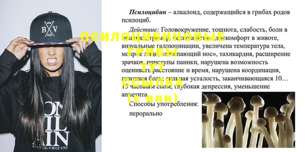 PSILOCYBIN Михайловск