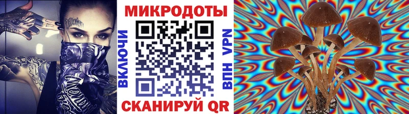 Псилоцибиновые грибы Psilocybe  Ковылкино 